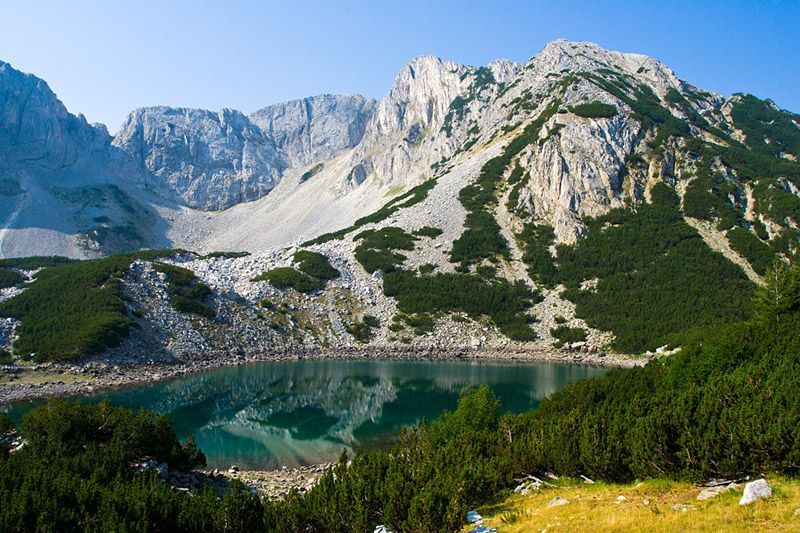 Pirin National Park, Bulgaria