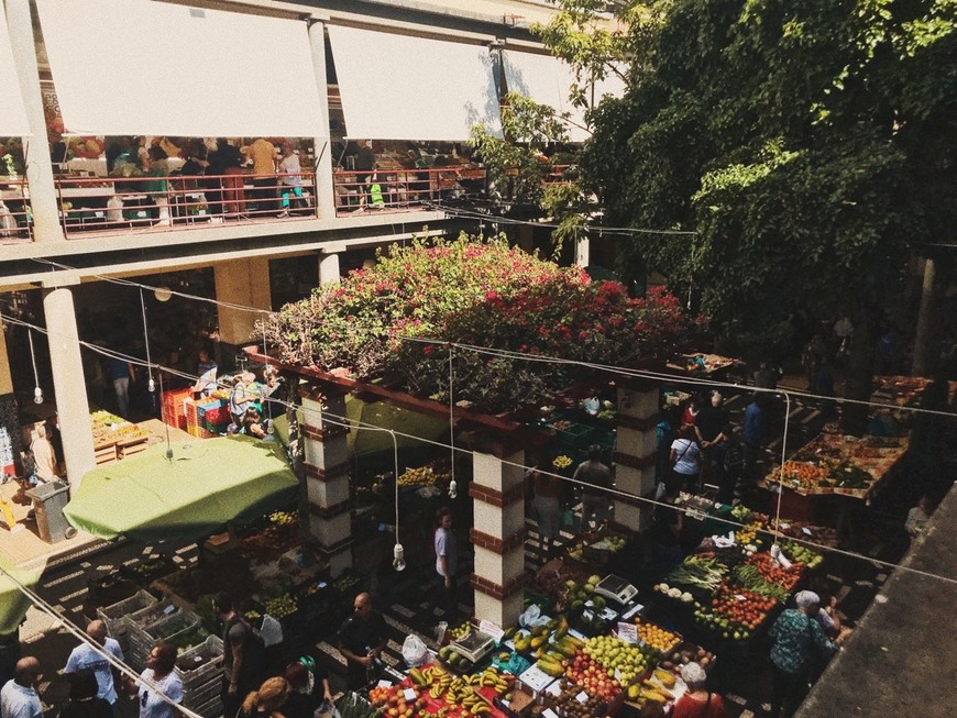 Lugar Mercado dos Lavradores