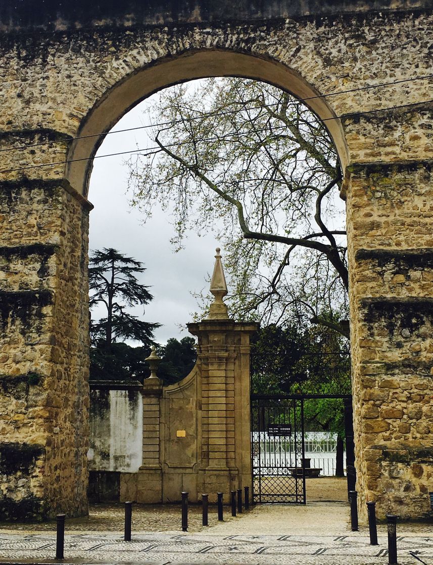 Lugar Jardim Botânico da Universidade de Coimbra