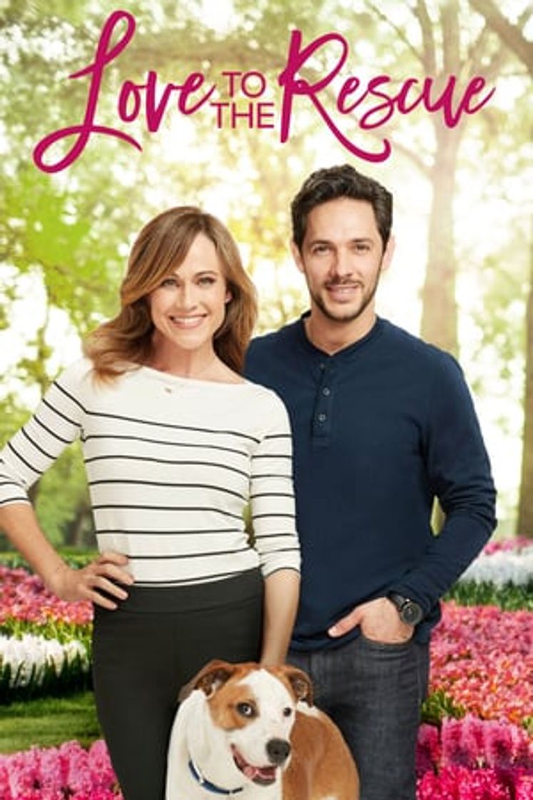 Movie Un amor inesperado