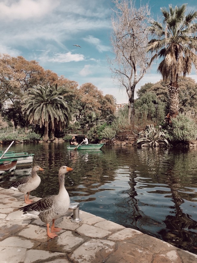 Place Parque de la Ciudadela