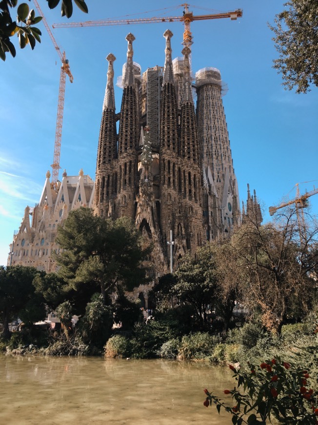 Place Catedral de la Sagrada Familia