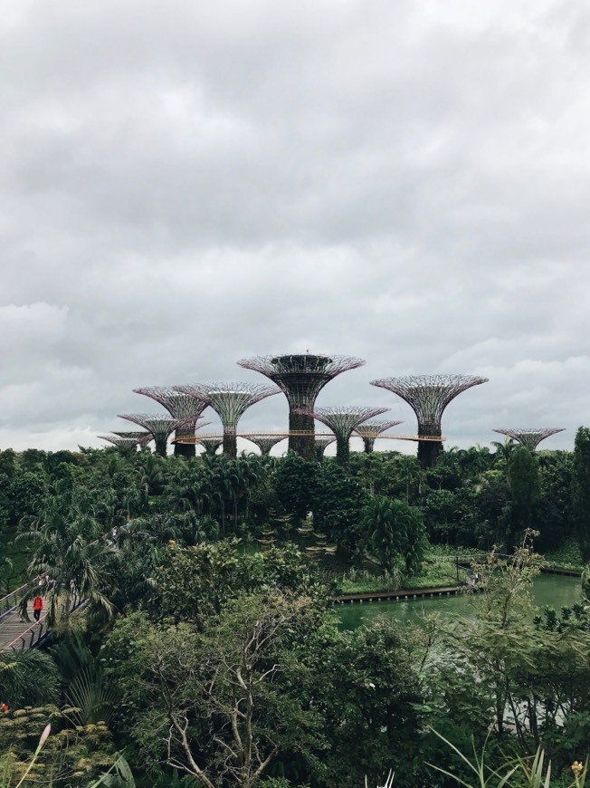 Place Gardens by the Bay