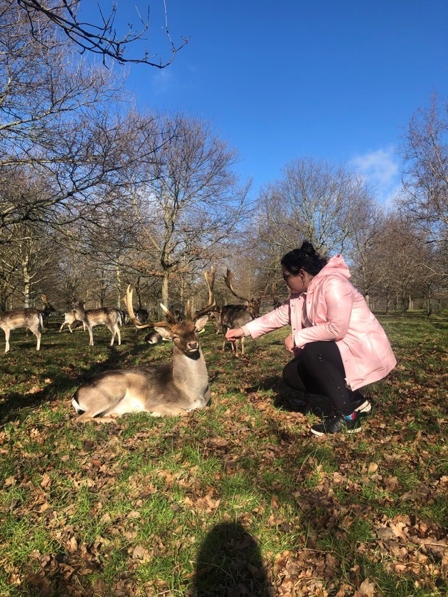 Place Phoenix Park