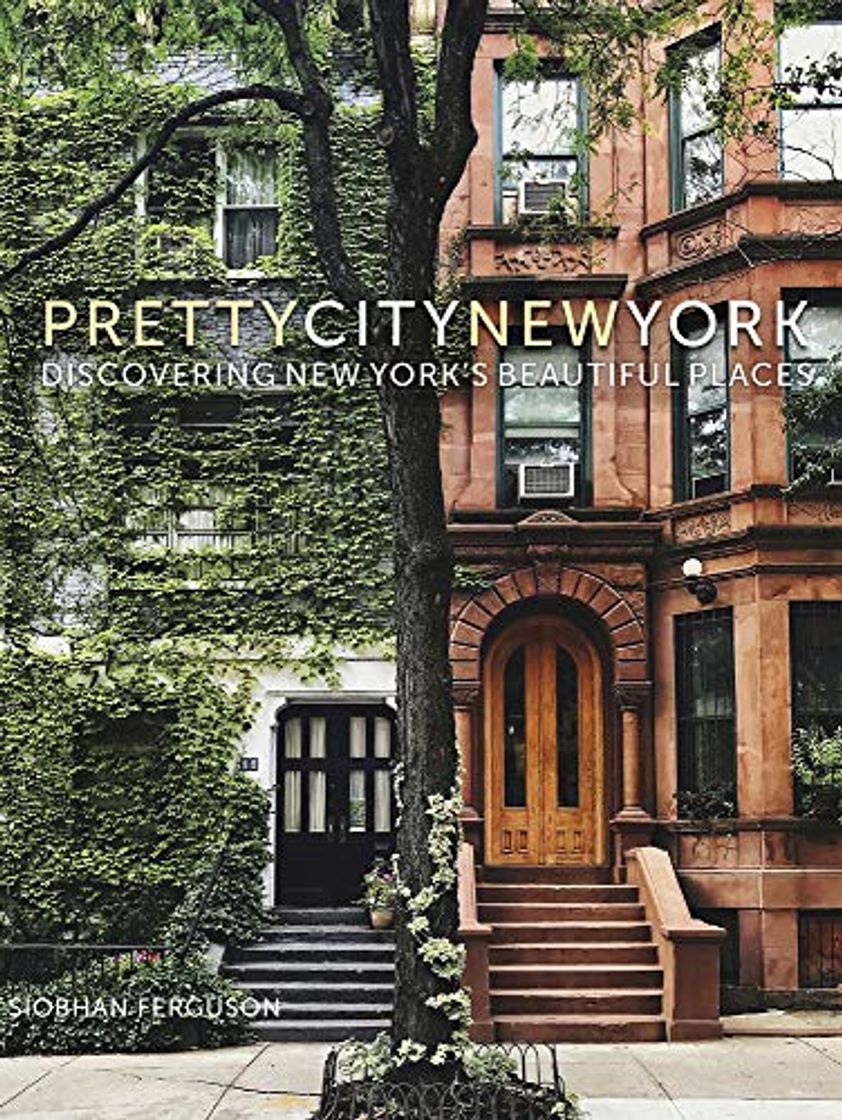 Libro Ferguson, S: prettycitynewyork