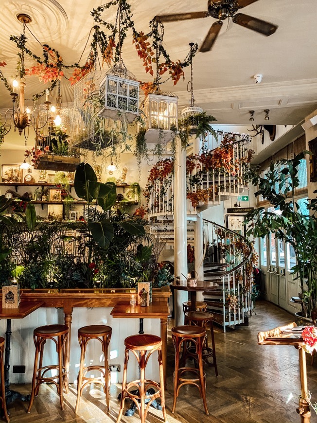 Restaurantes Mr Fogg's House of Botanicals