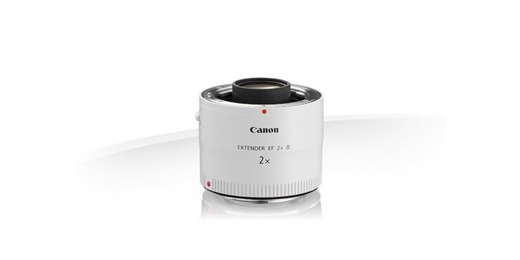 Canon Extender EF 2x 