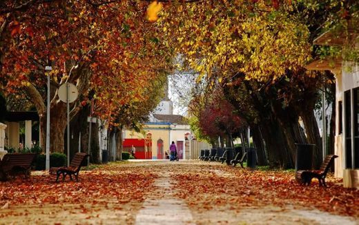 Place Jardim Municipal Constantino Palha