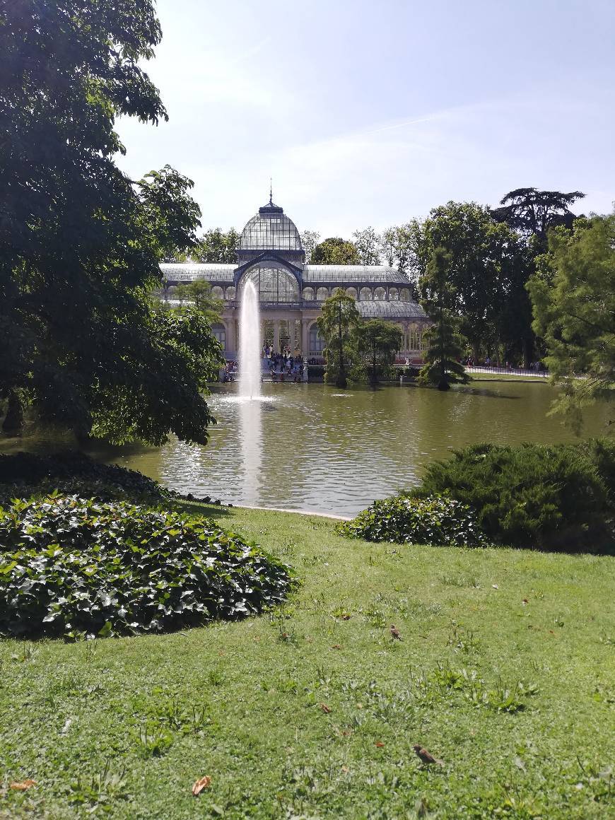 Place Palacio de Cristal