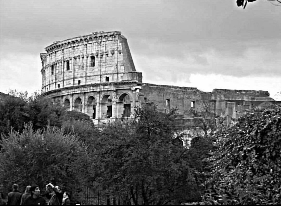 Lugar Coliseo de Roma