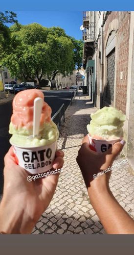 Gato Gelados