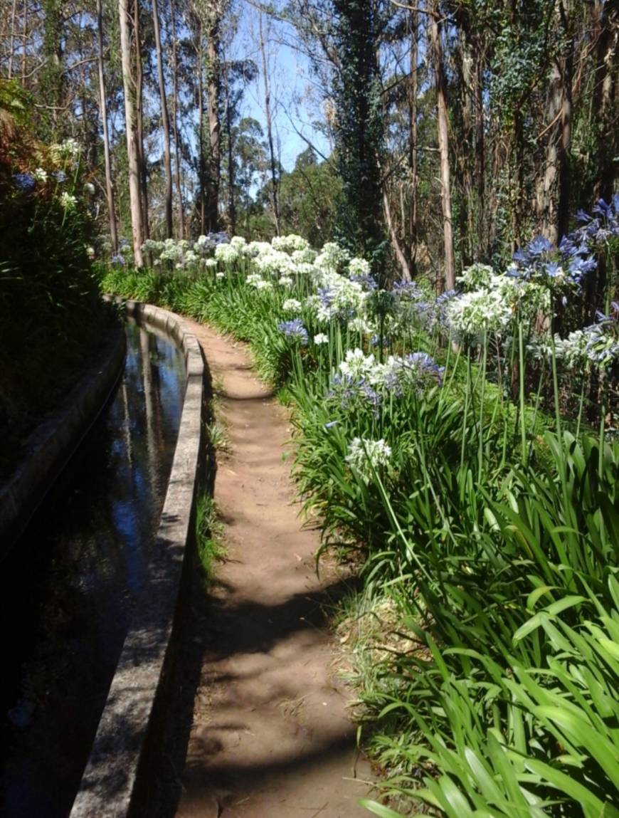 Lugar Levada do Ribeiro da Cal