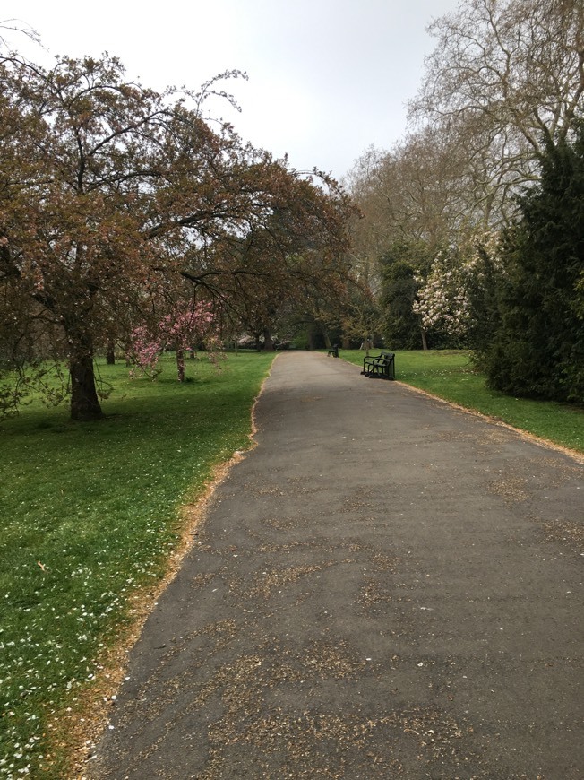 Place Kensington Gardens