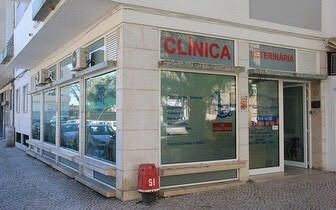 Clínica Veterinária Dra. Vanessa Carvalho