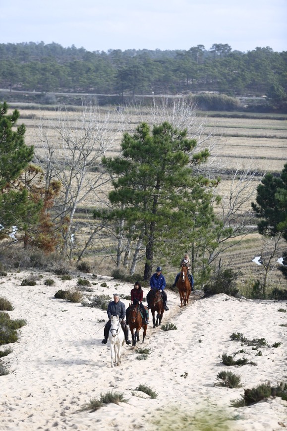 Lugares Cavalos na Areia