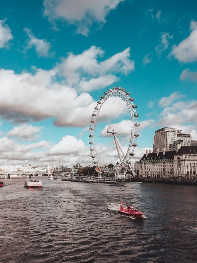 Place London Eye