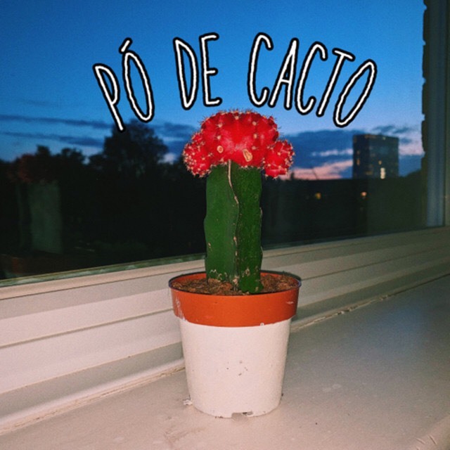 Canción Pó De Cacto