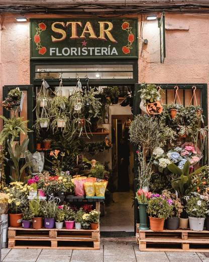 Floristería Star