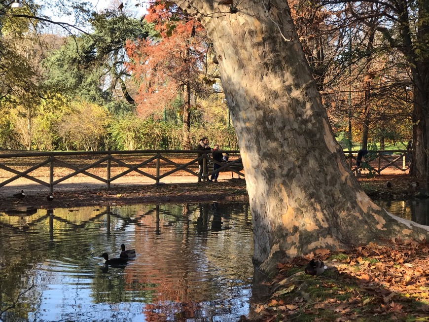 Place Parque Sempione