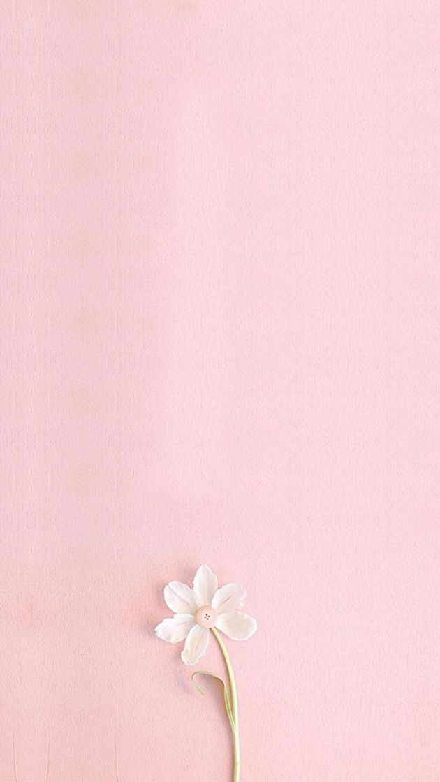 Producto Flower Wallpaper