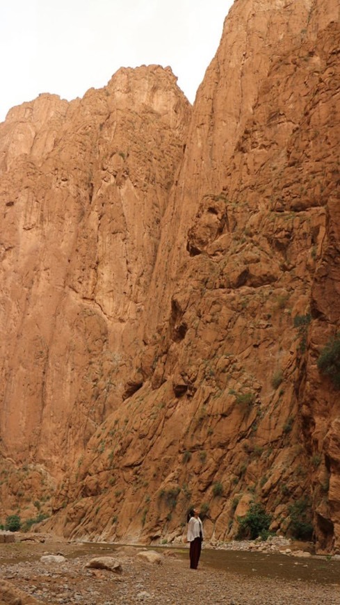 Lugar Gargantas del Todra