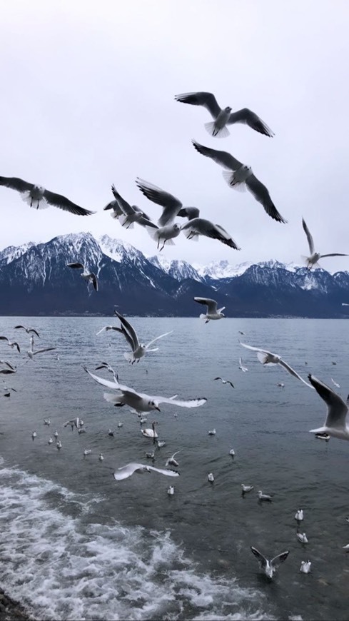 Place Montreux