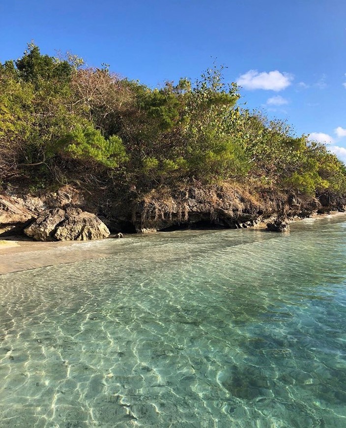 Lugar Ile aux Aigrettes Nature Reserve