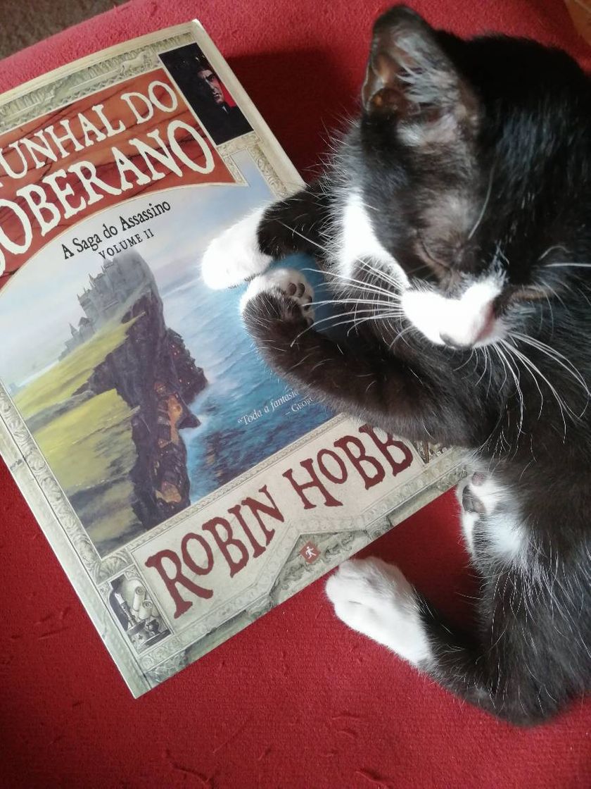 Book O Punhal do Soberano