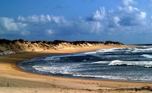 Ofir Beach