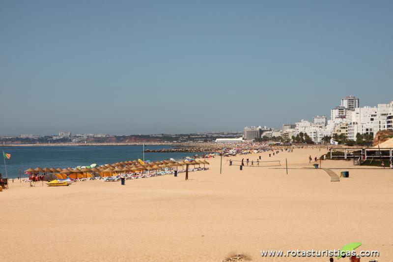 Place Praia da Rosa Branca