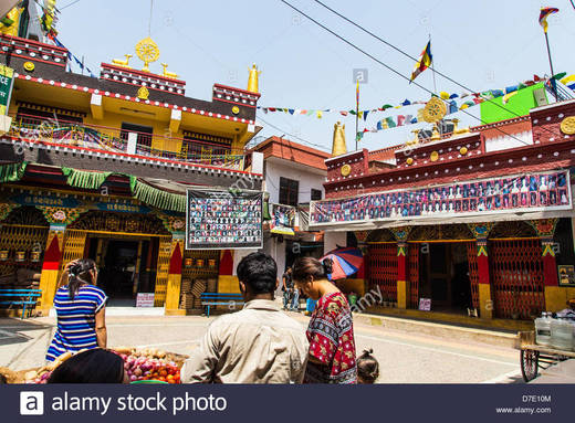 Tibetan Monastery (Majnu ka tila)