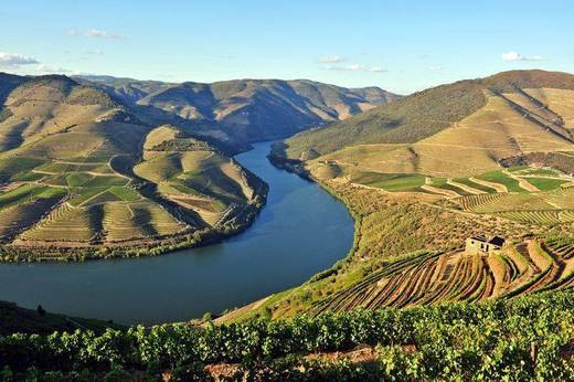 Rio Douro