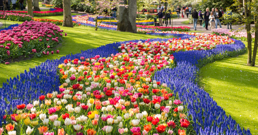 Places Keukenhof