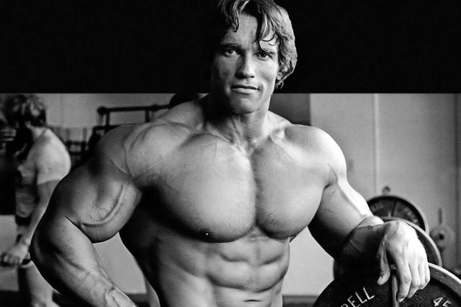 Moda Arnold Schwarzenegger