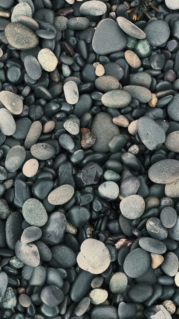 Social Fondo piedras