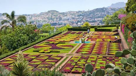 Lugar Jardín Botánico de Madeira