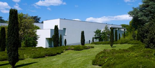 Museo Serralves