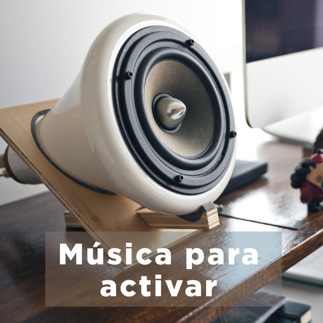 Canción Alocao