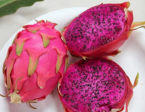 Product 20 PURPLE DRAGON FRUIT