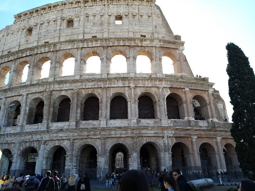 Place Coliseo de Roma
