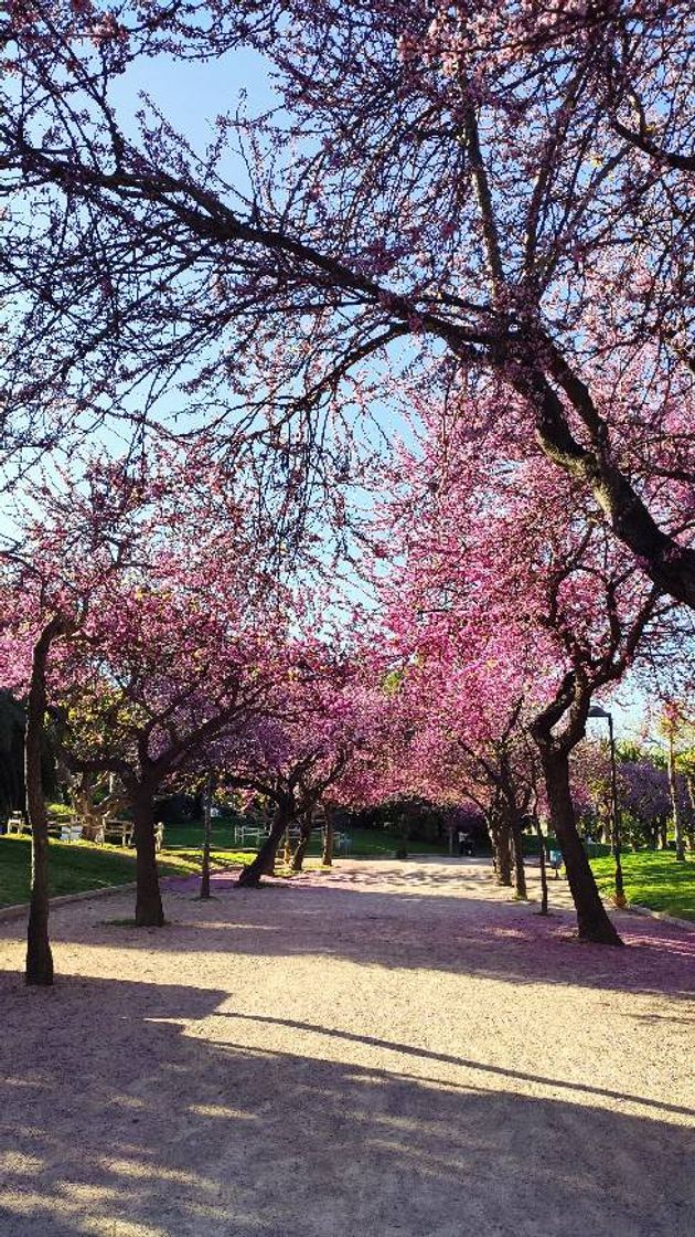 Place Parc de Benicalap