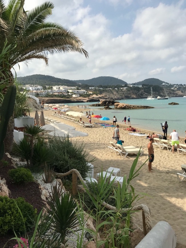 Place Cala Tarida