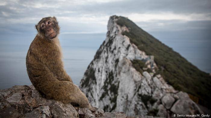 Place Montanha onde estão os macacos 🐒