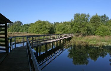 Lugar Lagoa de Bertiandos