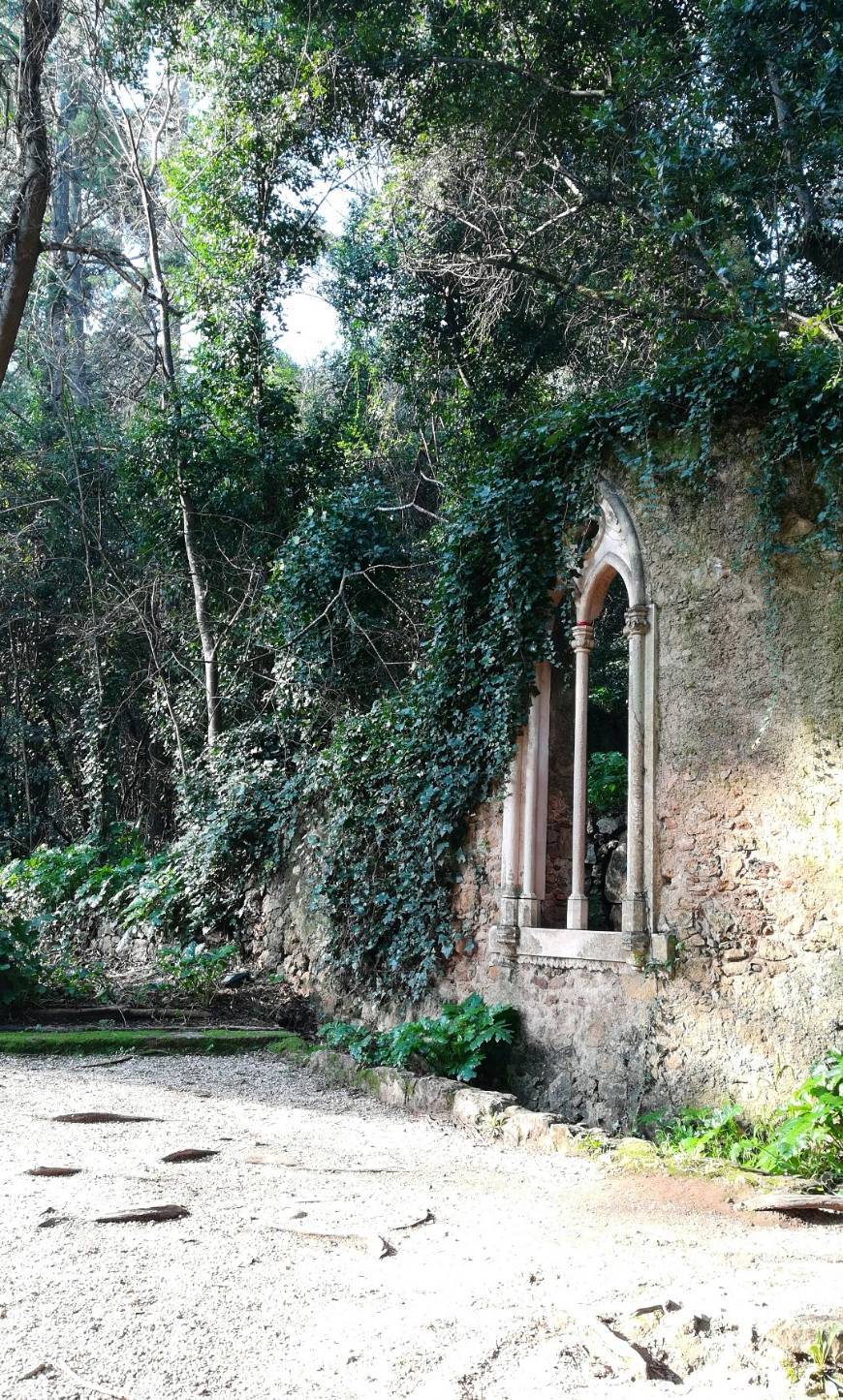 Lugar Jardins da Quinta das Lágrimas