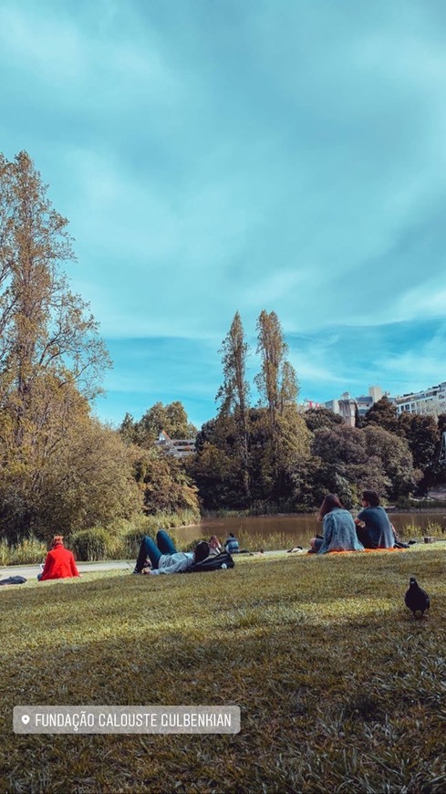 Place Museo Calouste Gulbenkian