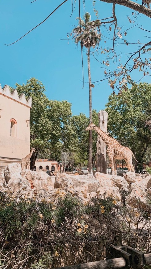 Place Jardim Zoológico de Lisboa