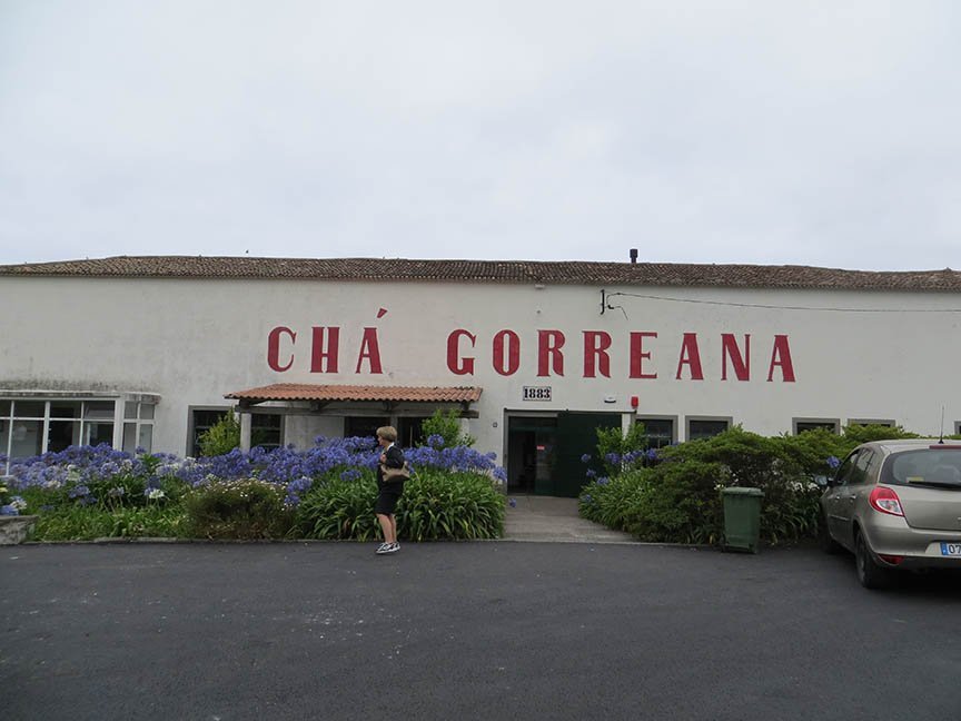 Lugar Chá Gorreana