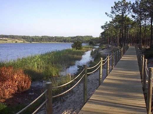 Lagoa da Ervedeira