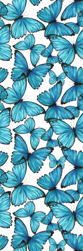 Moda Butterfly